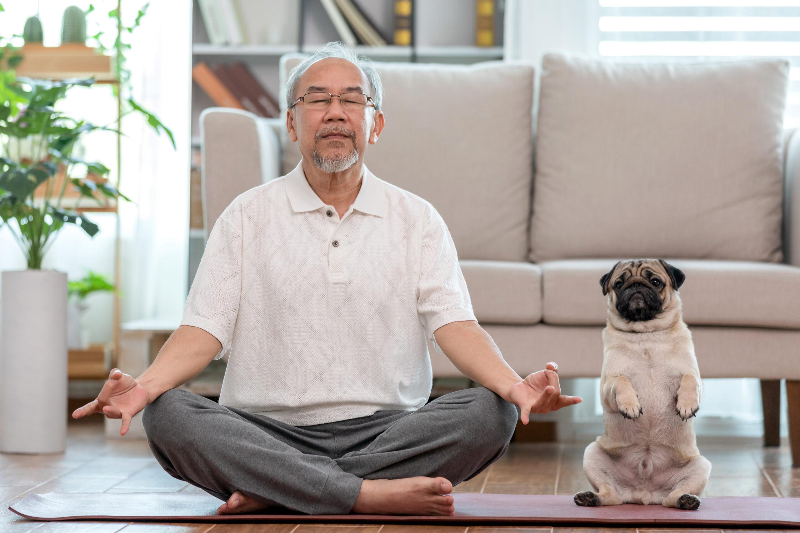 An older man does yoga on a mat with a pug standing in a similar pose beside him