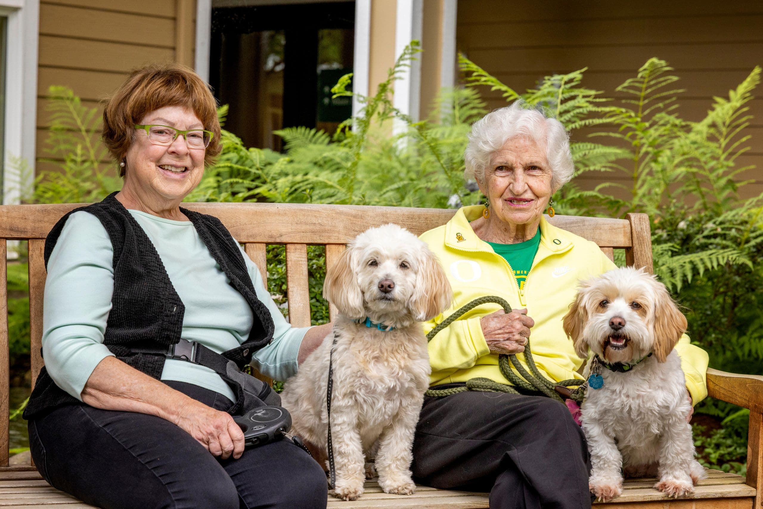 Two ladies sitting together on a bench each holding their dog